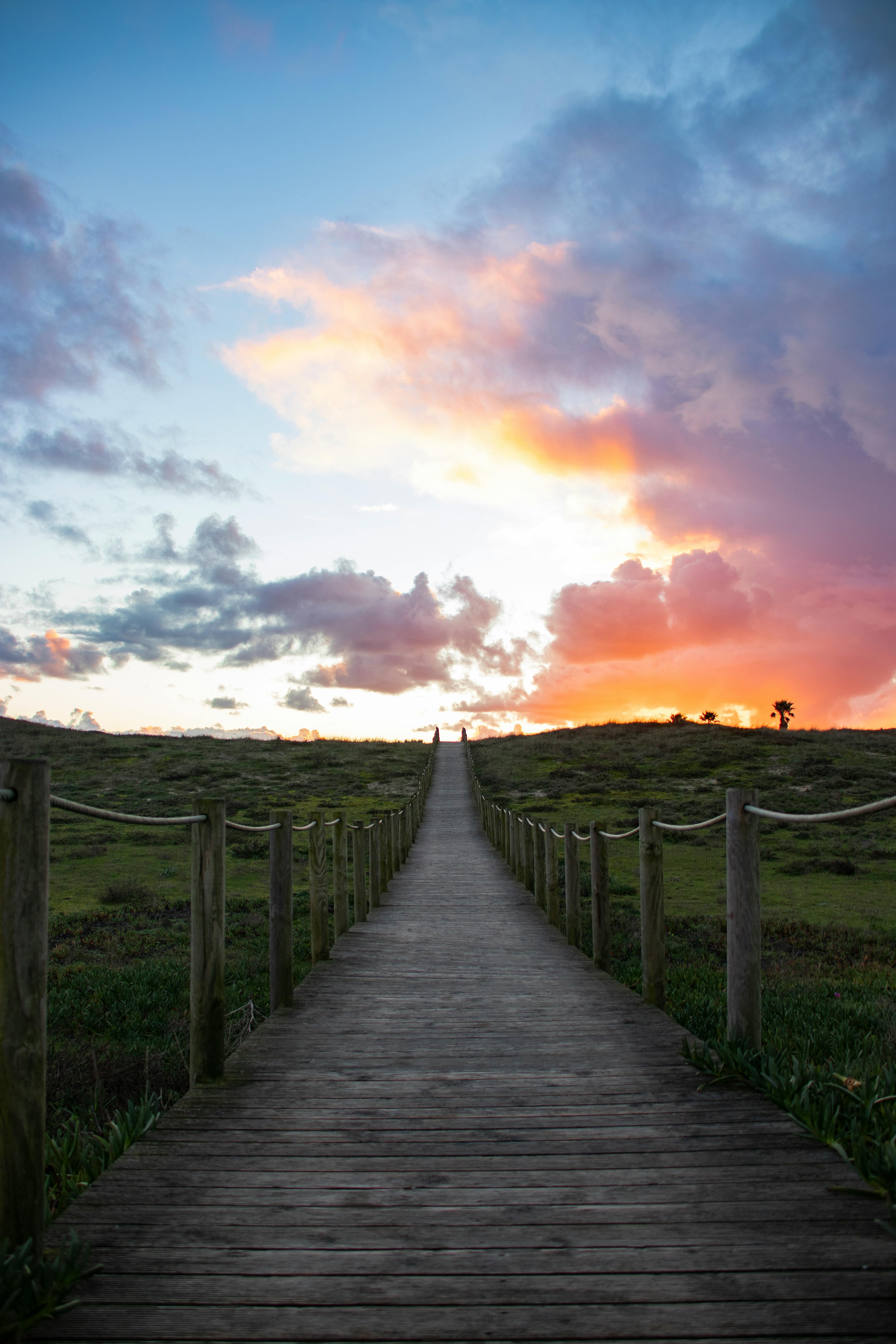 Colorful floral arrangement